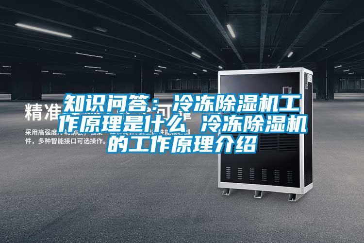 知識(shí)問(wèn)答：冷凍除濕機(jī)工作原理是什么 冷凍除濕機(jī)的工作原理介紹