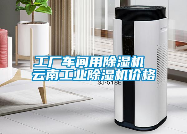 工廠(chǎng)車(chē)間用除濕機(jī) 云南工業(yè)除濕機(jī)價(jià)格