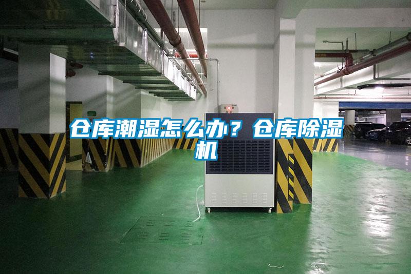 倉庫潮濕怎么辦？倉庫除濕機(jī)