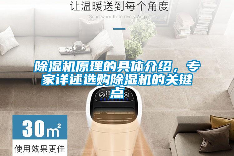 除濕機原理的具體介紹，專家詳述選購除濕機的關鍵點