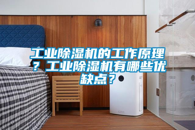 工業(yè)除濕機的工作原理？工業(yè)除濕機有哪些優(yōu)缺點？