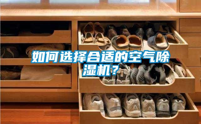 如何選擇合適的空氣除濕機？