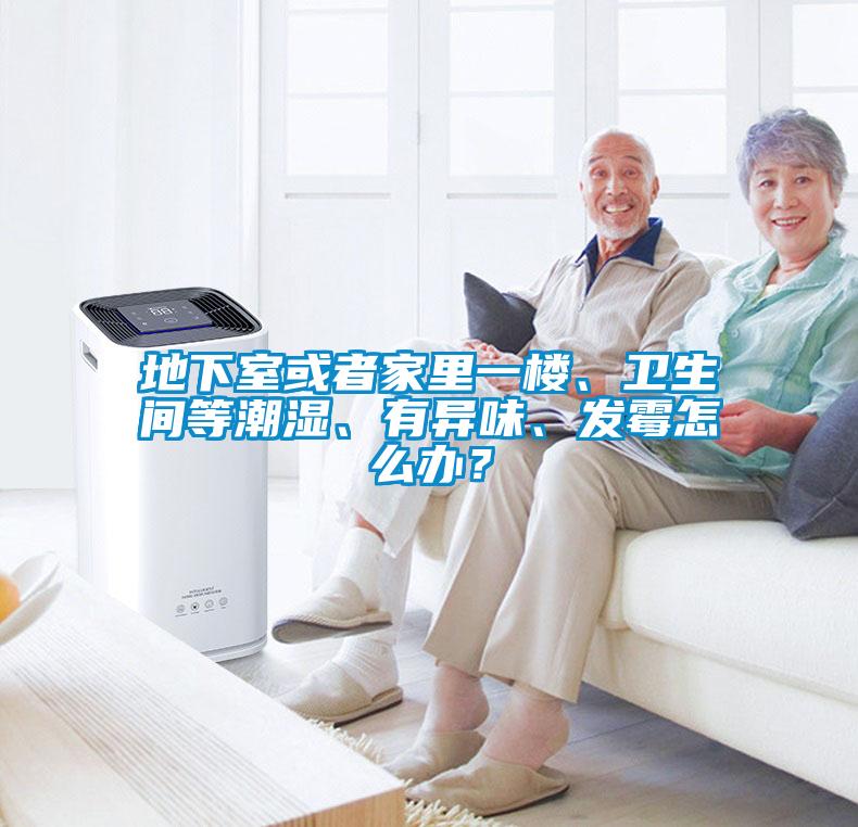 地下室或者家里一樓、衛(wèi)生間等潮濕、有異味、發(fā)霉怎么辦？