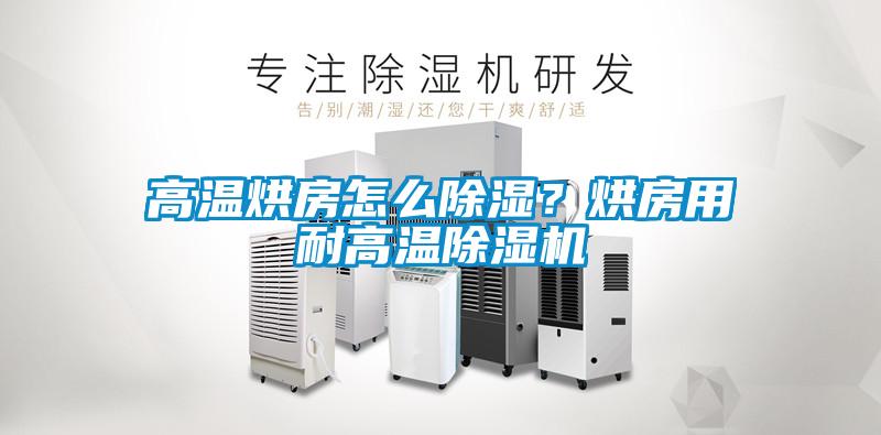 高溫烘房怎么除濕？烘房用耐高溫除濕機