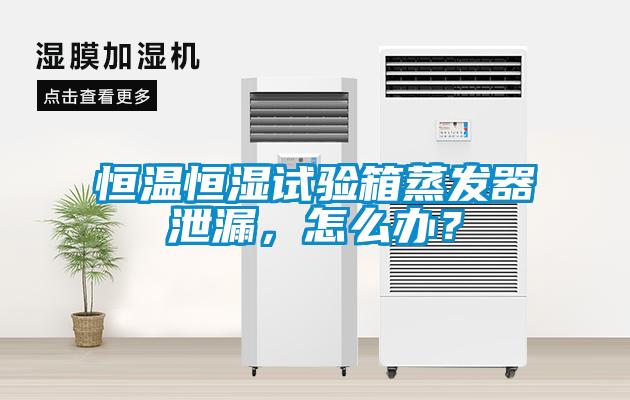 恒溫恒濕試驗箱蒸發(fā)器泄漏，怎么辦？