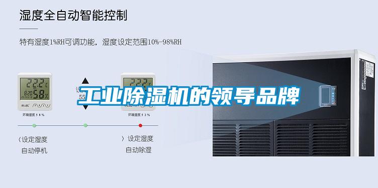 工業(yè)除濕機的領(lǐng)導品牌