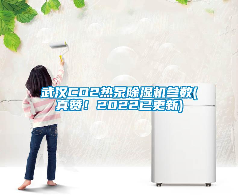武漢CO2熱泵除濕機參數(真贊！2022已更新)