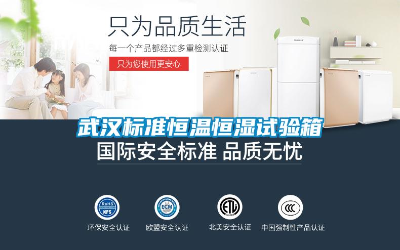 武漢標(biāo)準(zhǔn)恒溫恒濕試驗箱
