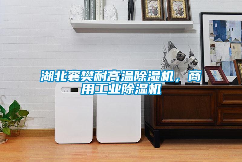 湖北襄樊耐高溫除濕機(jī)，商用工業(yè)除濕機(jī)