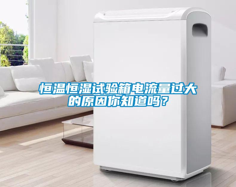 恒溫恒濕試驗(yàn)箱電流量過大的原因你知道嗎？
