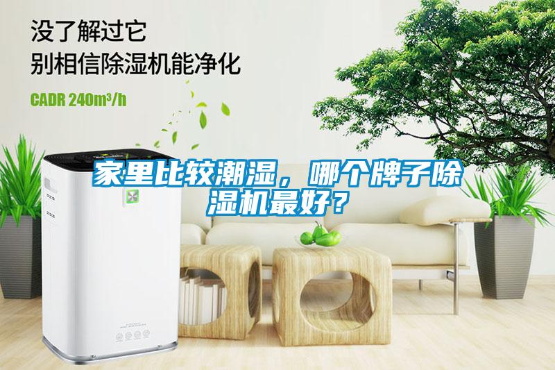 家里比較潮濕，哪個牌子除濕機最好？