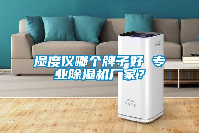 濕度儀哪個(gè)牌子好 專業(yè)除濕機(jī)廠家？