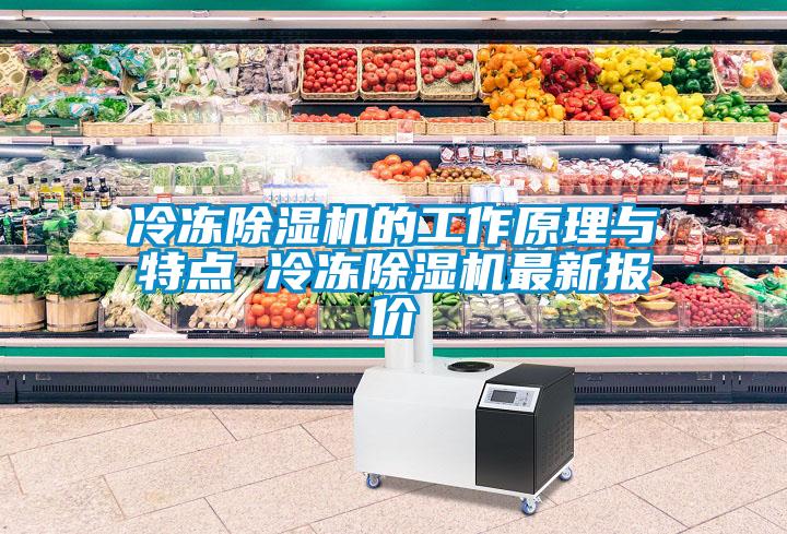 冷凍除濕機(jī)的工作原理與特點 冷凍除濕機(jī)最新報價