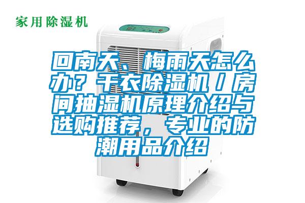 回南天、梅雨天怎么辦？干衣除濕機／房間抽濕機原理介紹與選購?fù)扑]，專業(yè)的防潮用品介紹
