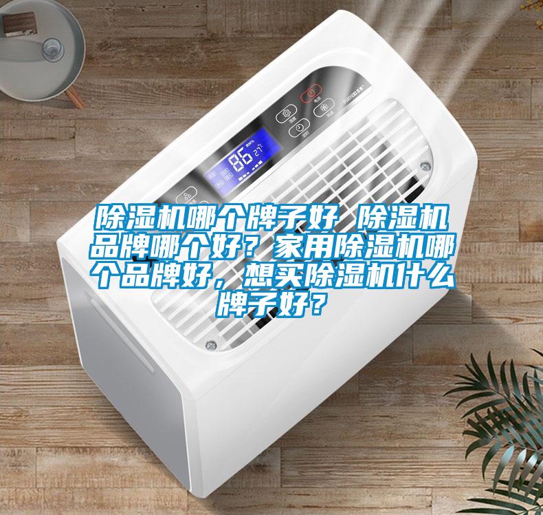 除濕機(jī)哪個(gè)牌子好 除濕機(jī)品牌哪個(gè)好？家用除濕機(jī)哪個(gè)品牌好，想買(mǎi)除濕機(jī)什么牌子好？