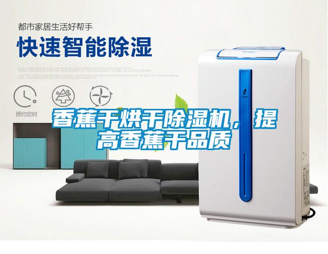 香蕉干烘干除濕機，提高香蕉干品質
