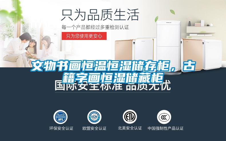 文物書畫恒溫恒濕儲(chǔ)存柜，古籍字畫恒濕儲(chǔ)藏柜