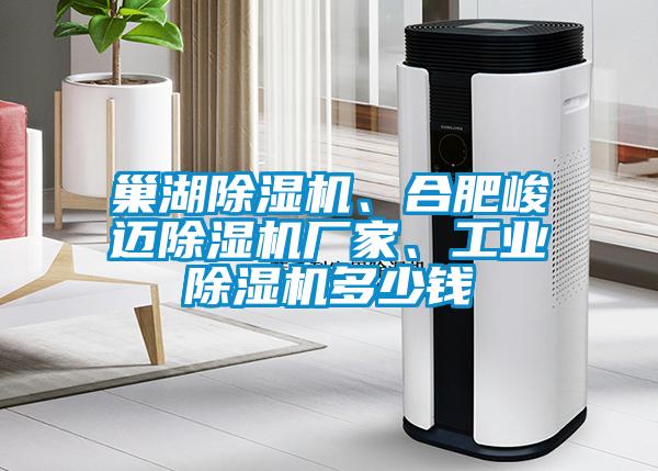 巢湖除濕機(jī)、合肥峻邁除濕機(jī)廠家、工業(yè)除濕機(jī)多少錢