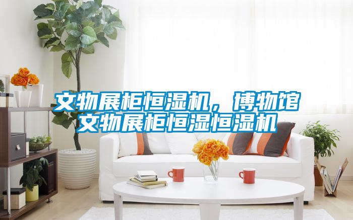 文物展柜恒濕機(jī)，博物館文物展柜恒濕恒濕機(jī)