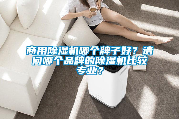 商用除濕機哪個牌子好？請問哪個品牌的除濕機比較專業？