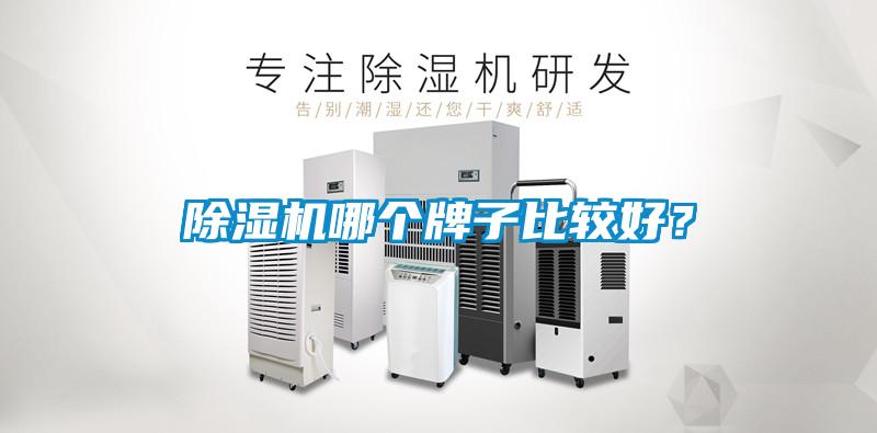 除濕機(jī)哪個牌子比較好？