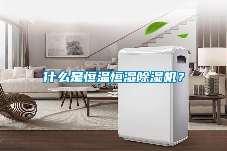 什么是恒溫恒濕除濕機？