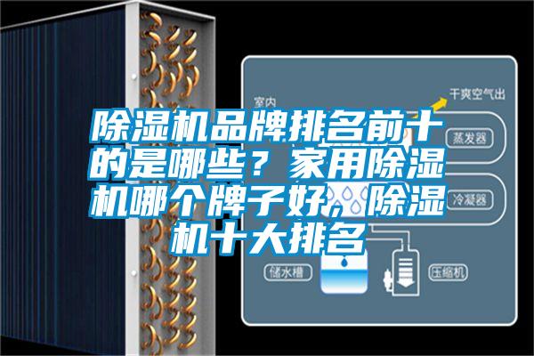 除濕機品牌排名前十的是哪些？家用除濕機哪個牌子好，除濕機十大排名