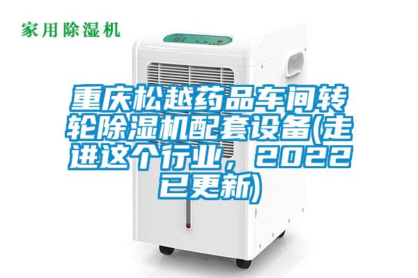 重慶松越藥品車間轉(zhuǎn)輪除濕機配套設備(走進這個行業(yè)，2022已更新)