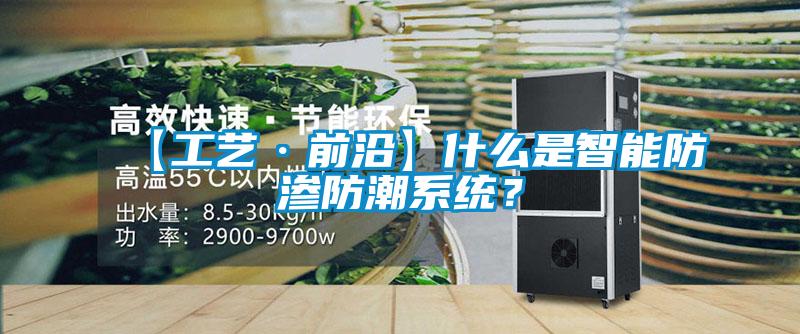 【工藝·前沿】什么是智能防滲防潮系統？