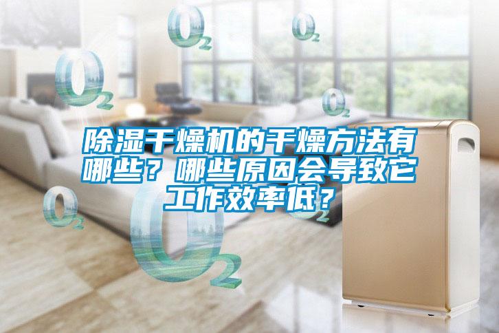 除濕干燥機的干燥方法有哪些？哪些原因會導(dǎo)致它工作效率低？