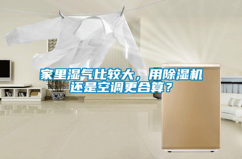 家里濕氣比較大，用除濕機還是空調更合算？