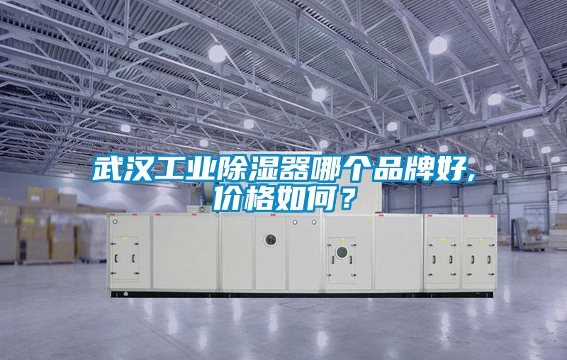 武漢工業(yè)除濕器哪個品牌好,價格如何？