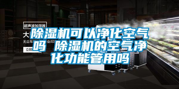 除濕機(jī)可以?xún)艋諝鈫?除濕機(jī)的空氣凈化功能管用嗎