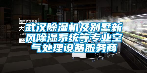 武漢除濕機及別墅新風除濕系統(tǒng)等專業(yè)空氣處理設(shè)備服務(wù)商