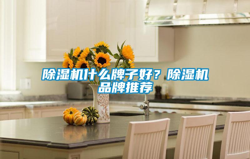 除濕機什么牌子好？除濕機品牌推薦