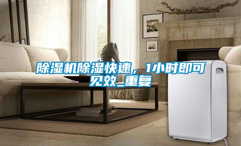 除濕機除濕快速，1小時即可見效_重復