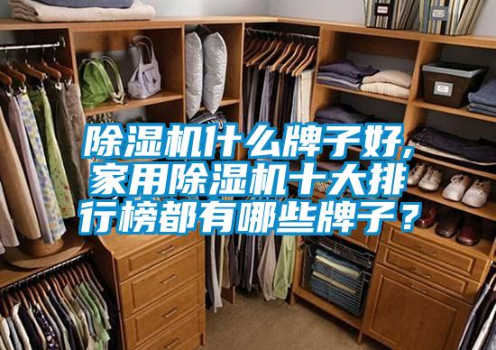 除濕機什么牌子好,家用除濕機十大排行榜都有哪些牌子？