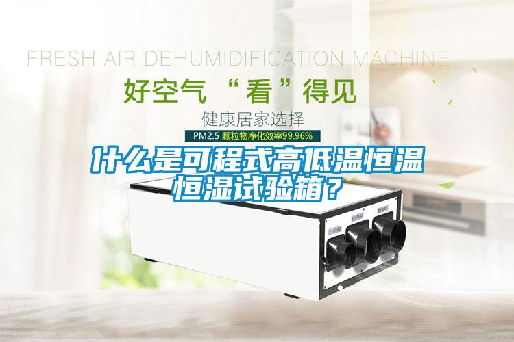 什么是可程式高低溫恒溫恒濕試驗箱？