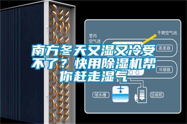 南方冬天又濕又冷受不了？快用除濕機(jī)幫你趕走濕氣