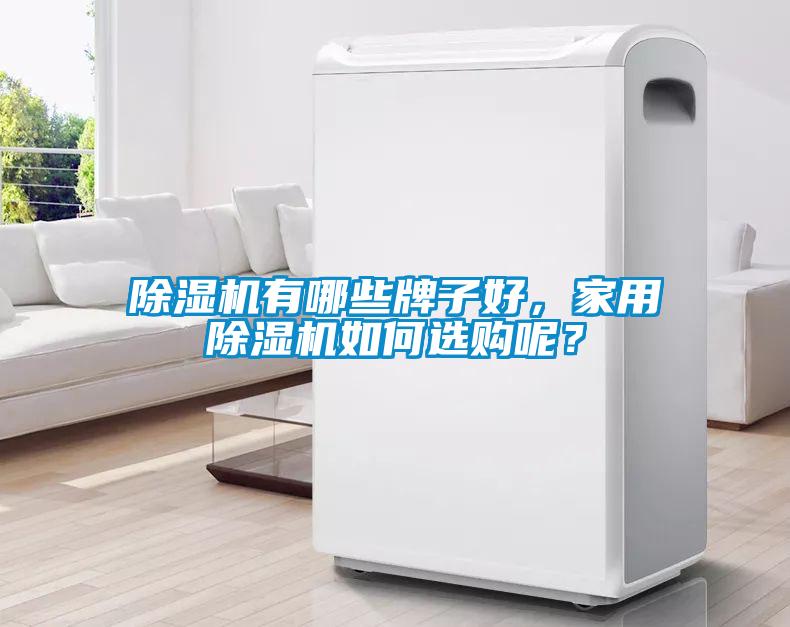 除濕機有哪些牌子好，家用除濕機如何選購呢？