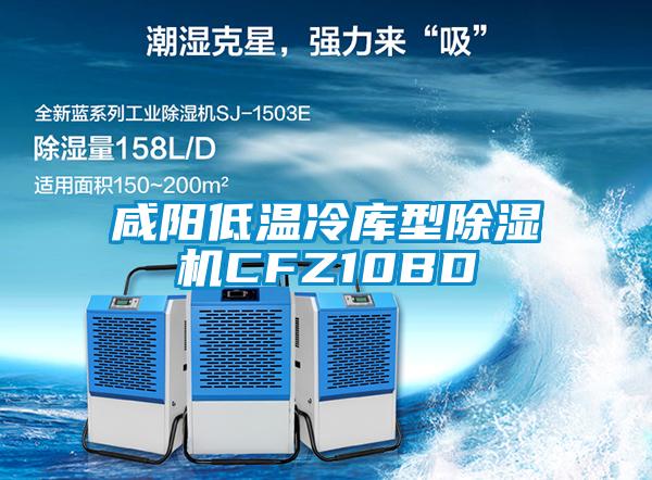 咸陽(yáng)低溫冷庫(kù)型除濕機(jī)CFZ10BD