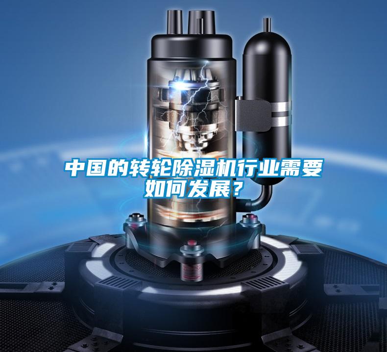中國的轉輪除濕機行業需要如何發展？