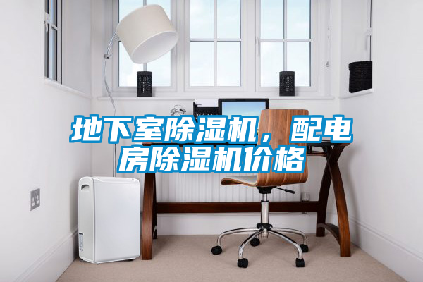 地下室除濕機，配電房除濕機價格