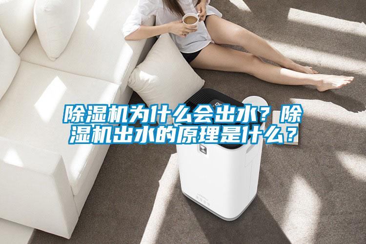 除濕機(jī)為什么會出水？除濕機(jī)出水的原理是什么？