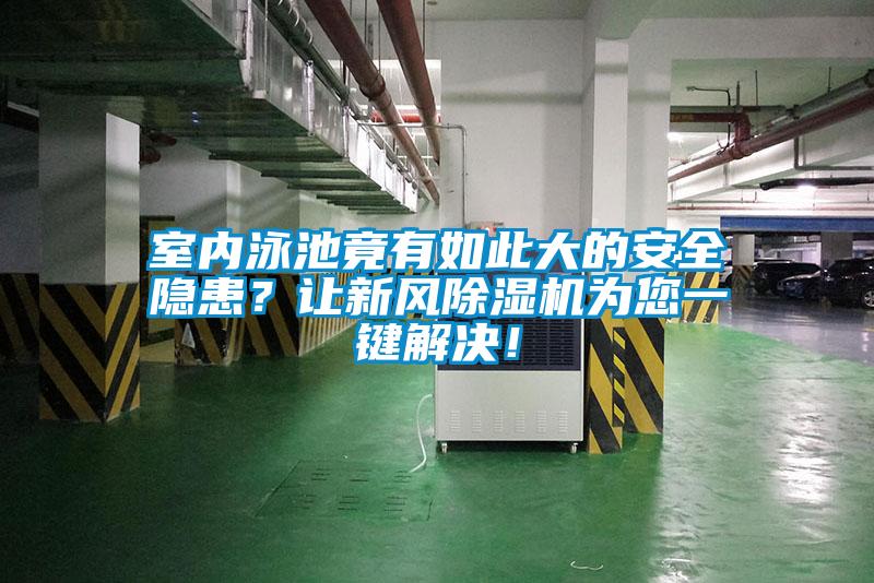 室內(nèi)泳池竟有如此大的安全隱患？讓新風(fēng)除濕機(jī)為您一鍵解決！