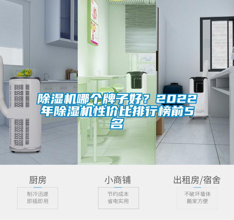 除濕機哪個牌子好？2022年除濕機性價比排行榜前5名