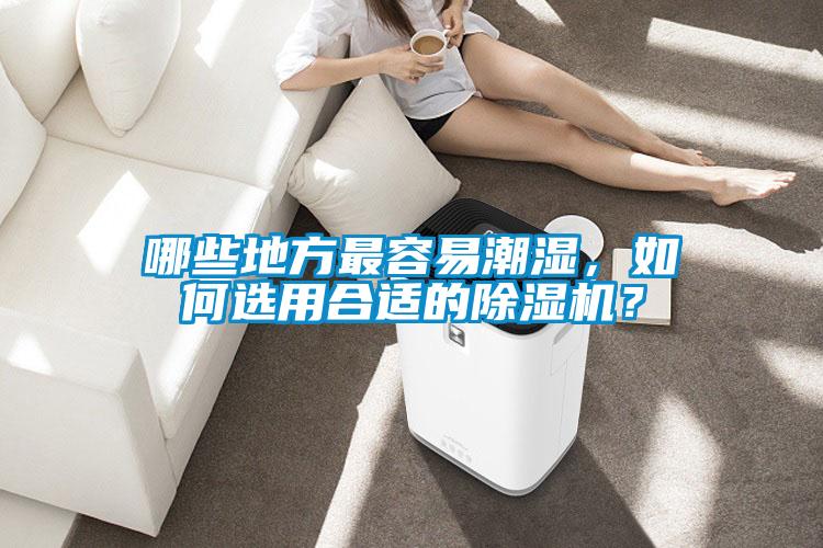 哪些地方最容易潮濕，如何選用合適的除濕機？