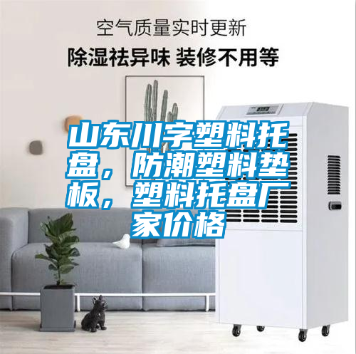 山東川字塑料托盤(pán)，防潮塑料墊板，塑料托盤(pán)廠家價(jià)格