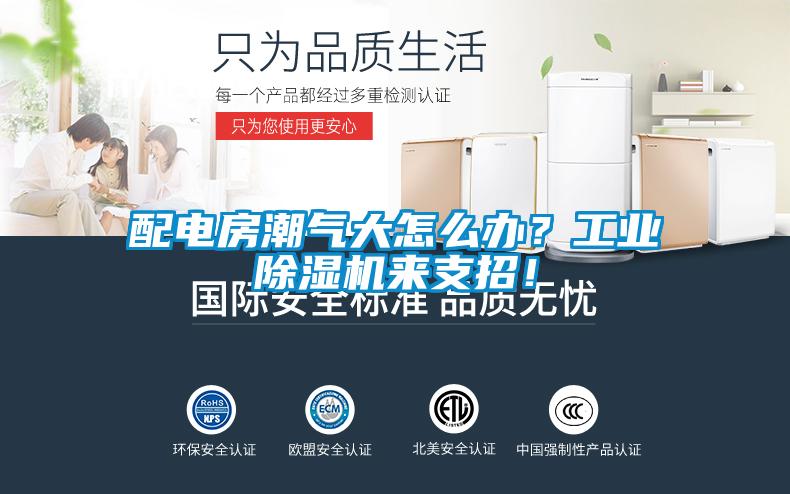 配電房潮氣大怎么辦？工業(yè)除濕機(jī)來(lái)支招！