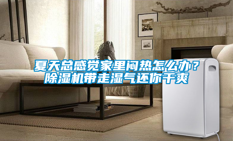 夏天總感覺家里悶熱怎么辦？除濕機帶走濕氣還你干爽
